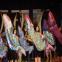 images/galerien/Musical_Handy_Hexen/006.jpg